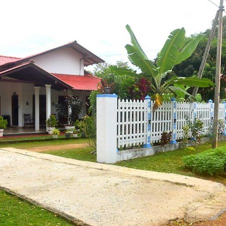 ホテル Wilpattu Lakwin Guest Pahala Maragahawewa エクステリア 写真