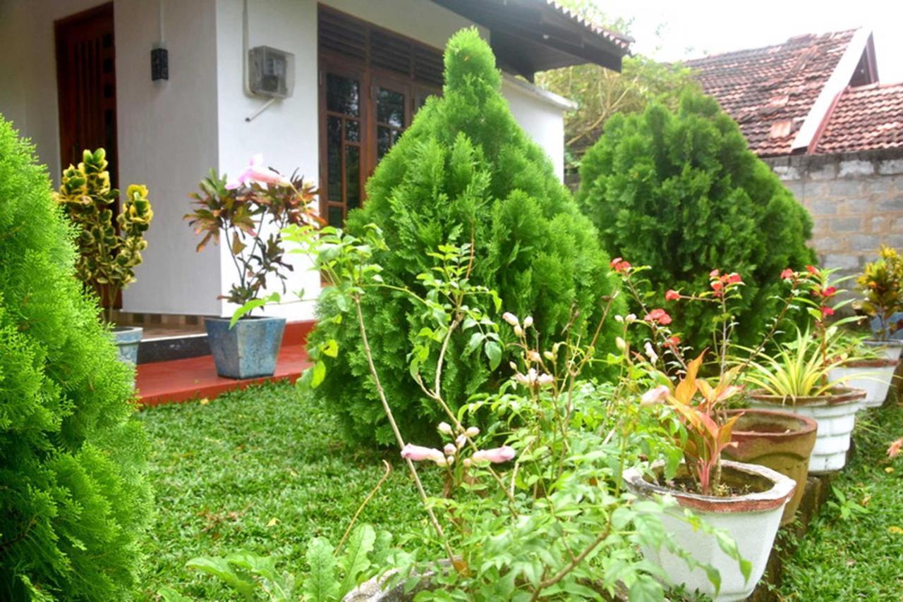 ホテル Wilpattu Lakwin Guest Pahala Maragahawewa エクステリア 写真