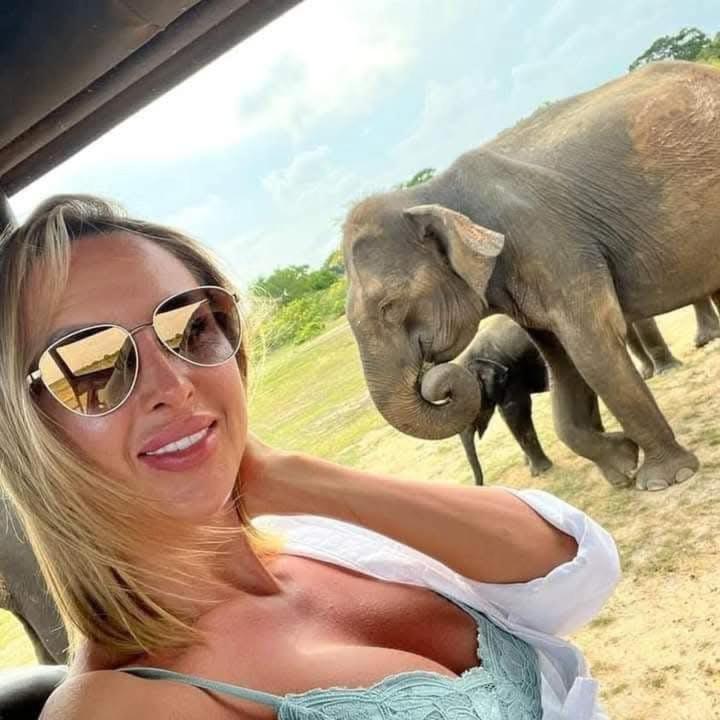 ホテル Wilpattu Lakwin Guest Pahala Maragahawewa エクステリア 写真